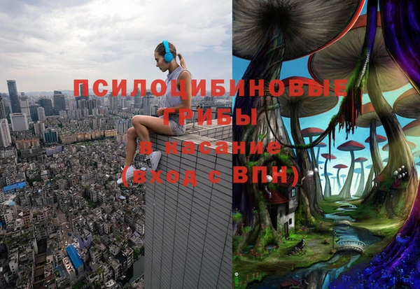 гидра Верхний Тагил