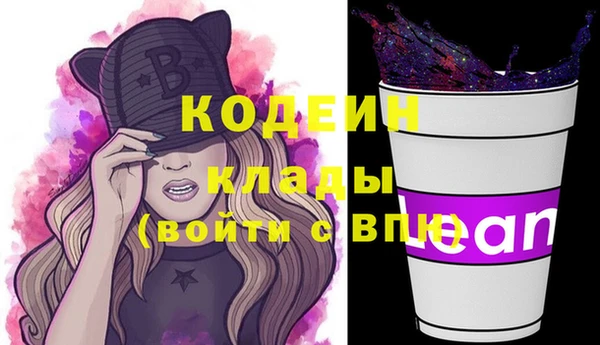 гидра Верхний Тагил